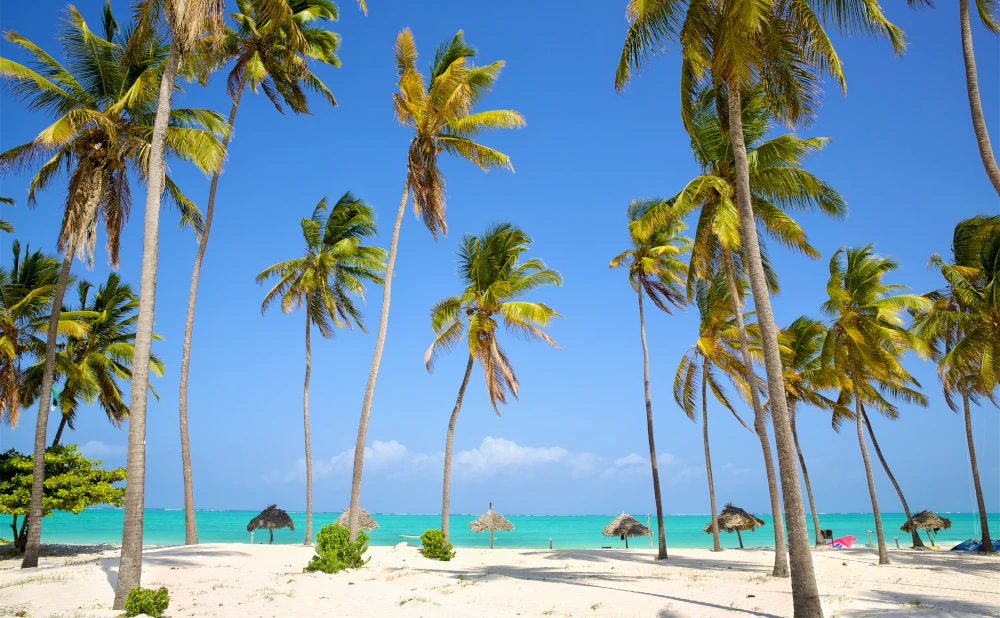 5 Days Zanzibar Island Tour