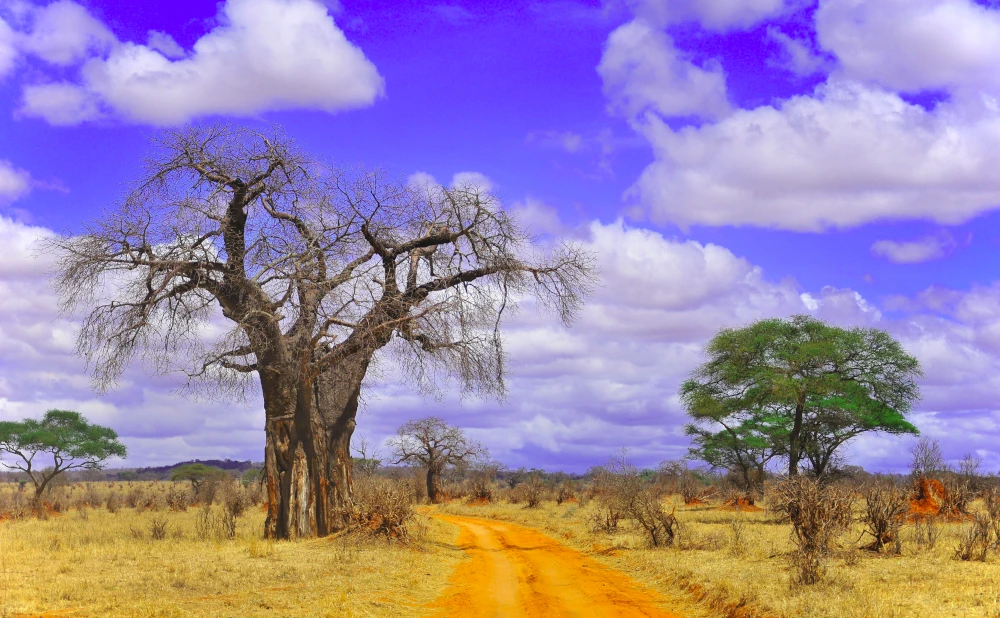 The best time to visit Tanzania.