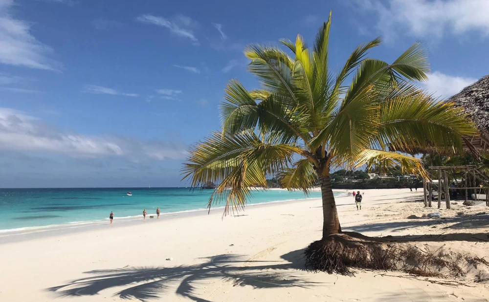 The Best Time to Visit Zanzibar