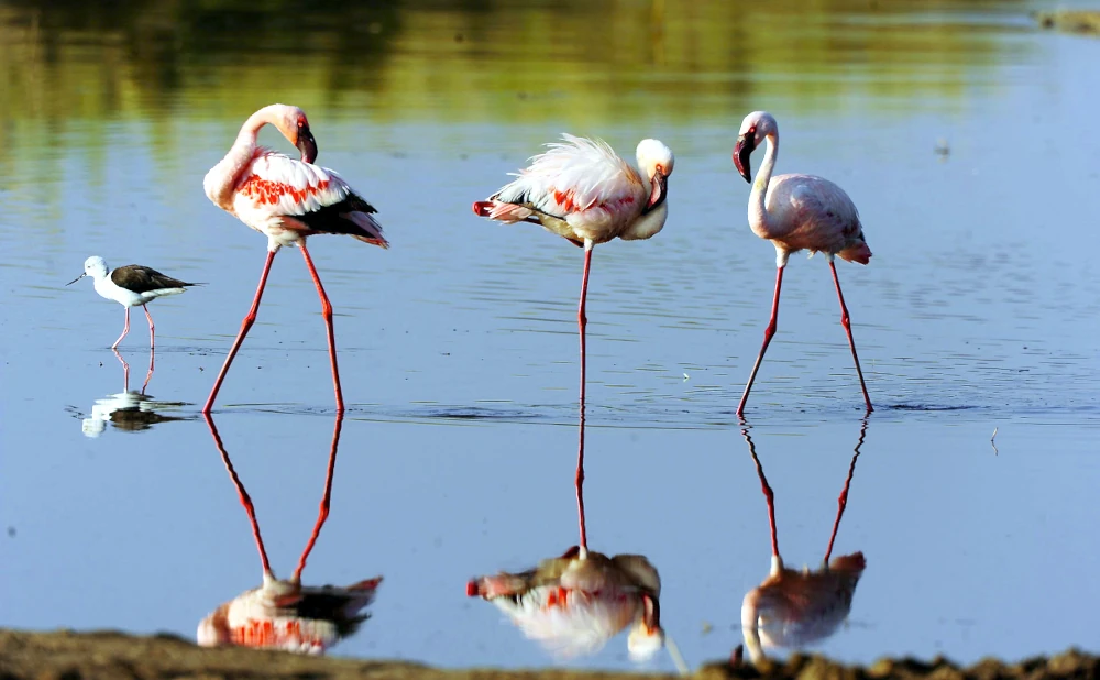 Lake Manyara National Park